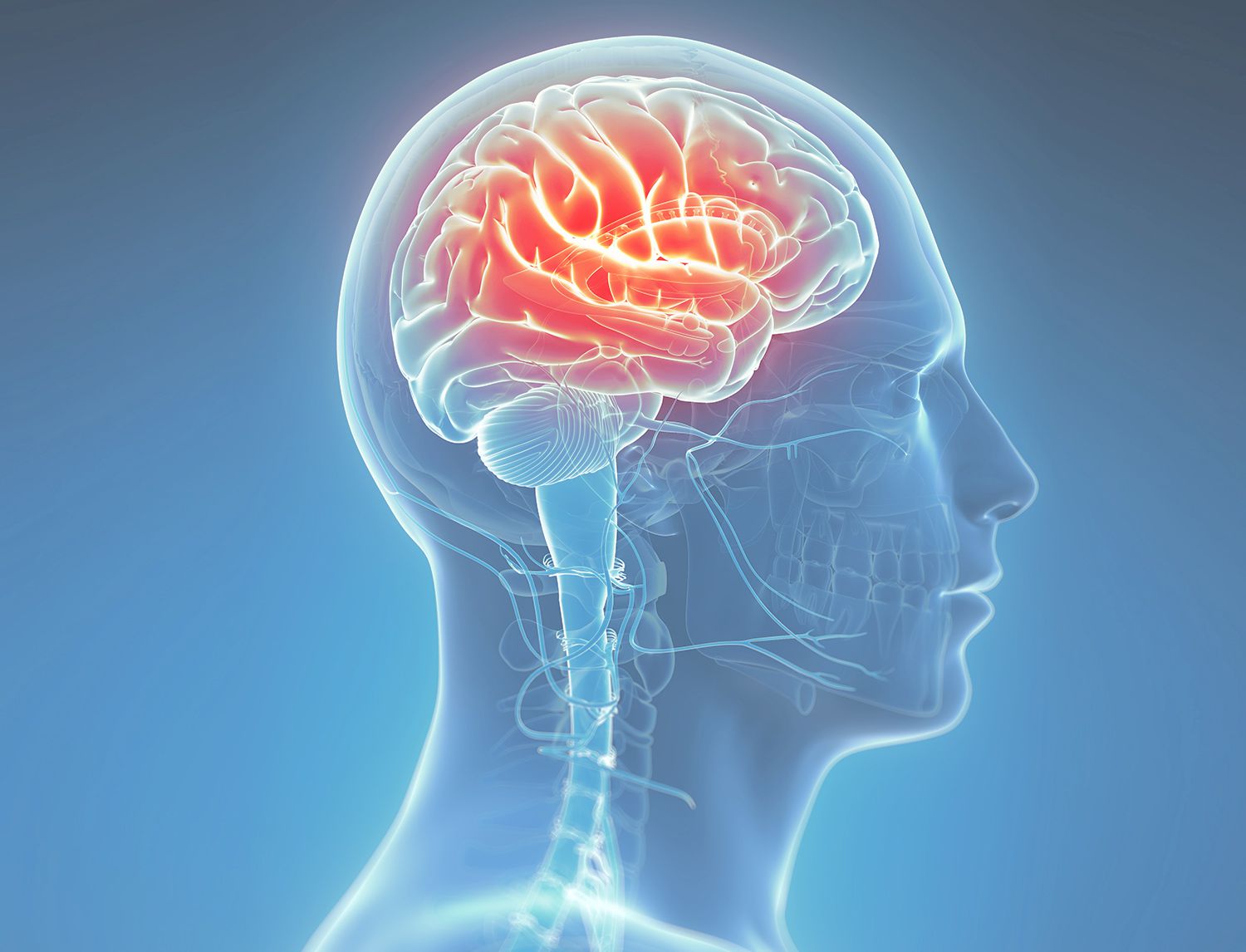Illustrazione radiografica del profilo di una testa umana con il cervello evidenziato in rosso, su sfondo blu