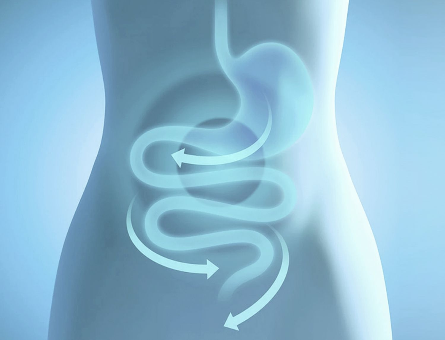 Illustrazione stilizzata dell'apparato digerente (stomaco e intestino) con frecce che indicano il transito, su sfondo azzurro