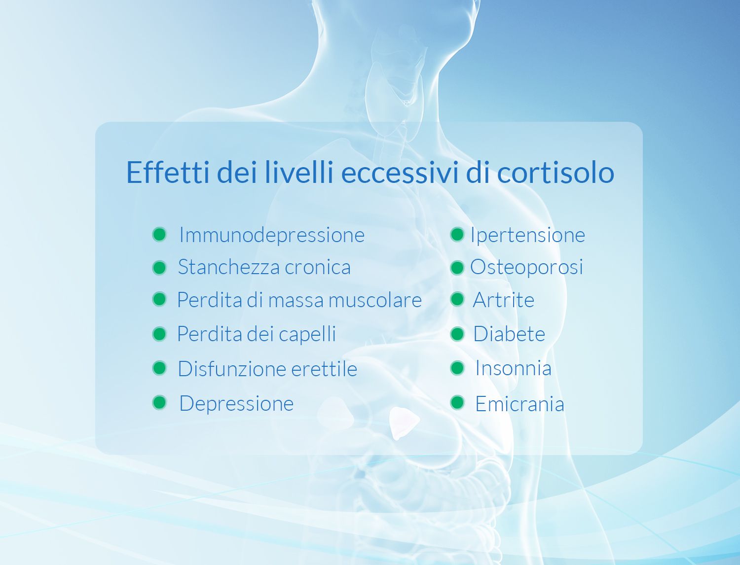 Slide "Effetti dei livelli eccessivi di cortisolo" con due colonne di sintomi (immunodepressione, stanchezza cronica, perdita di massa muscolare, ecc.) su sfondo di un'illustrazione anatomica del torace