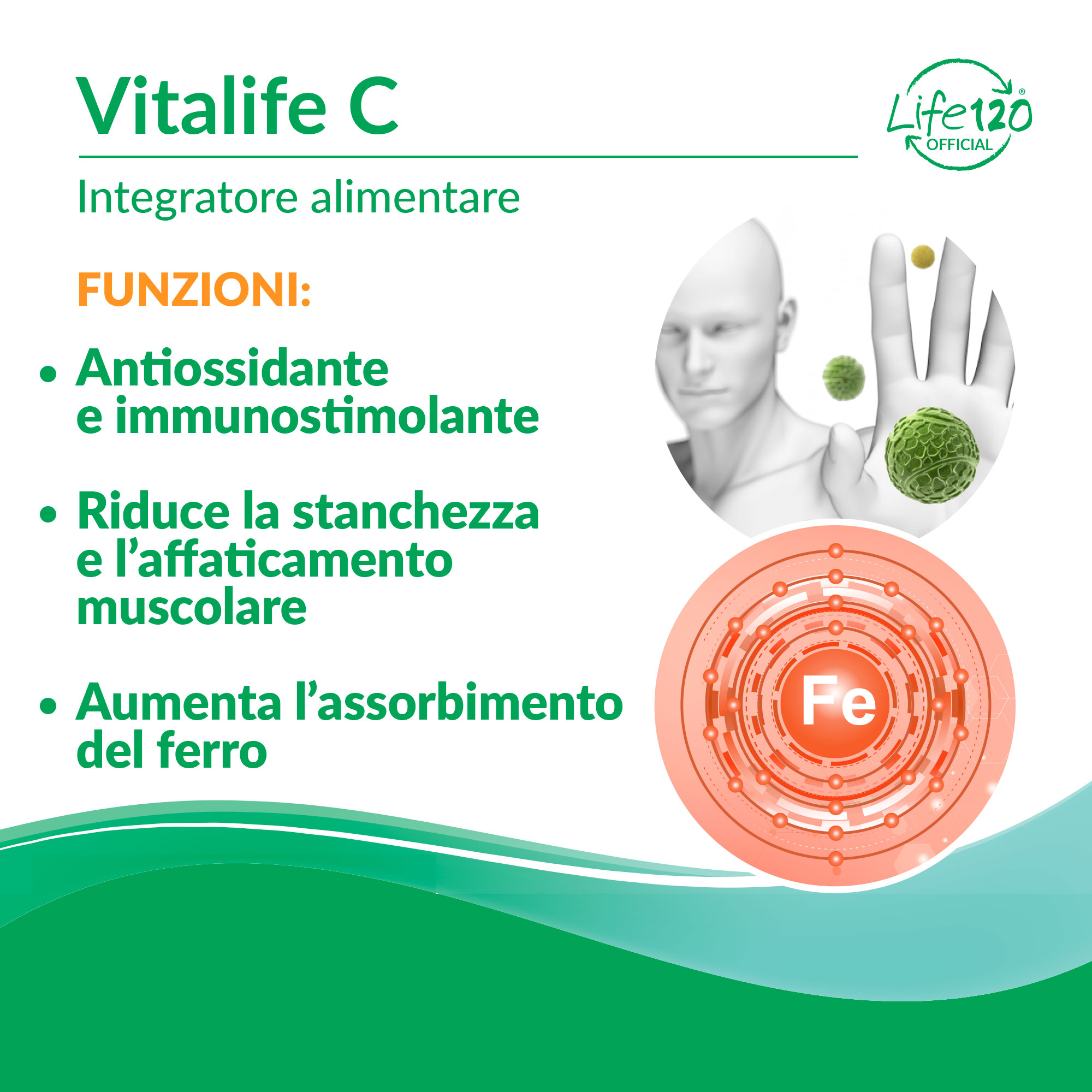 Vitalife C — vista 3