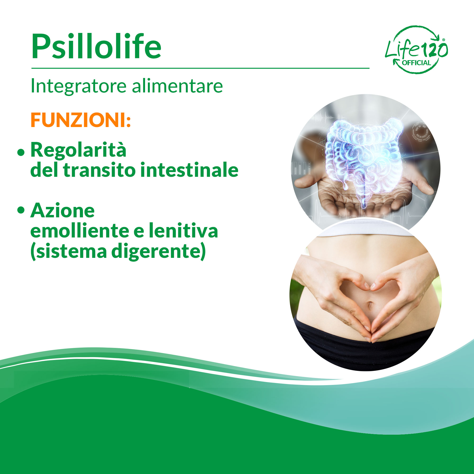 Psillolife — vista 2