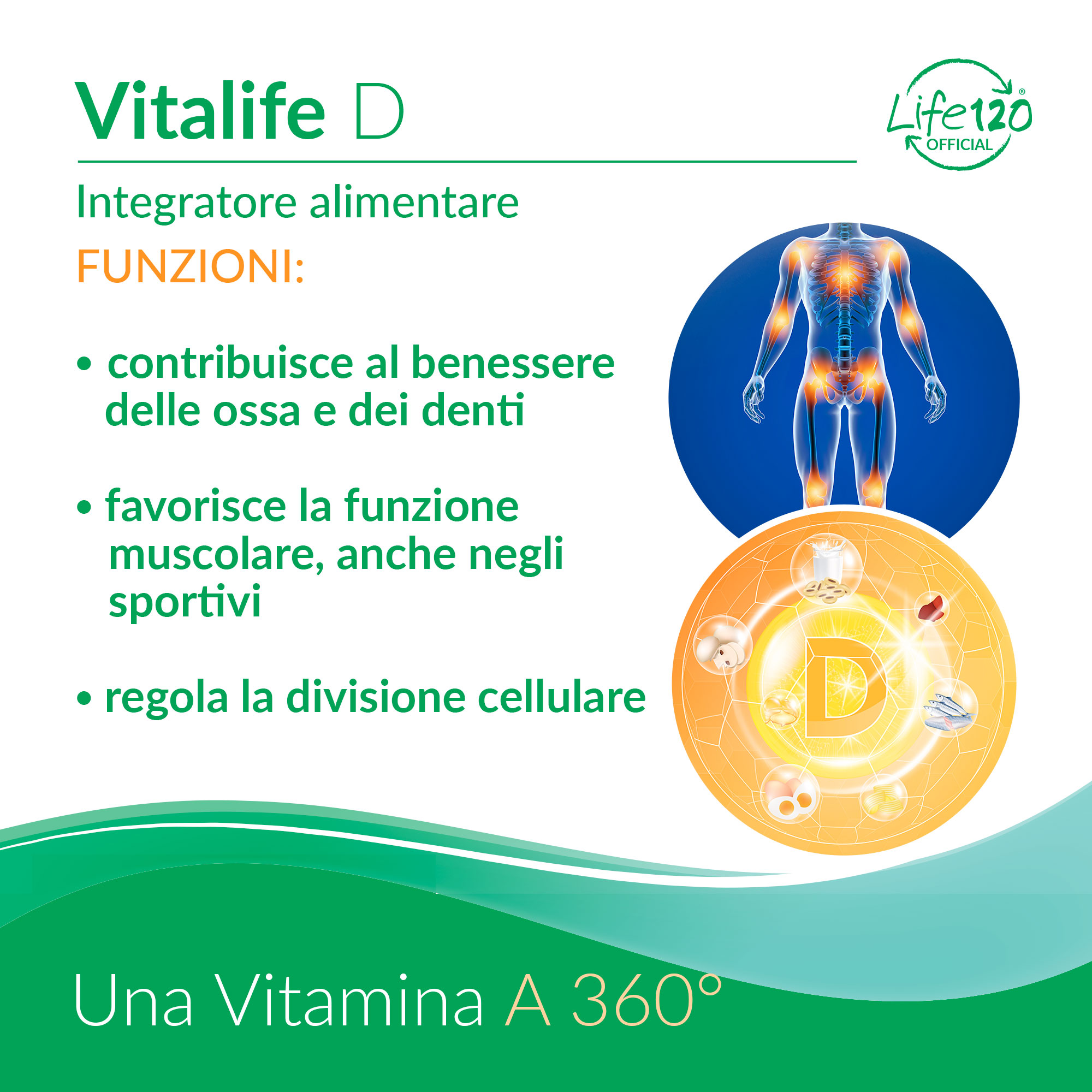 Vitalife D — vista 3