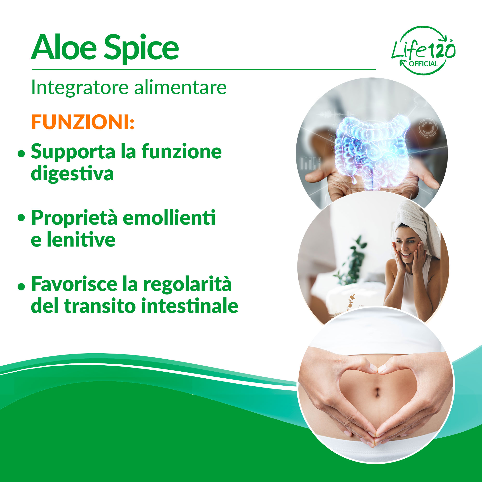 Aloe Spice — vista 2