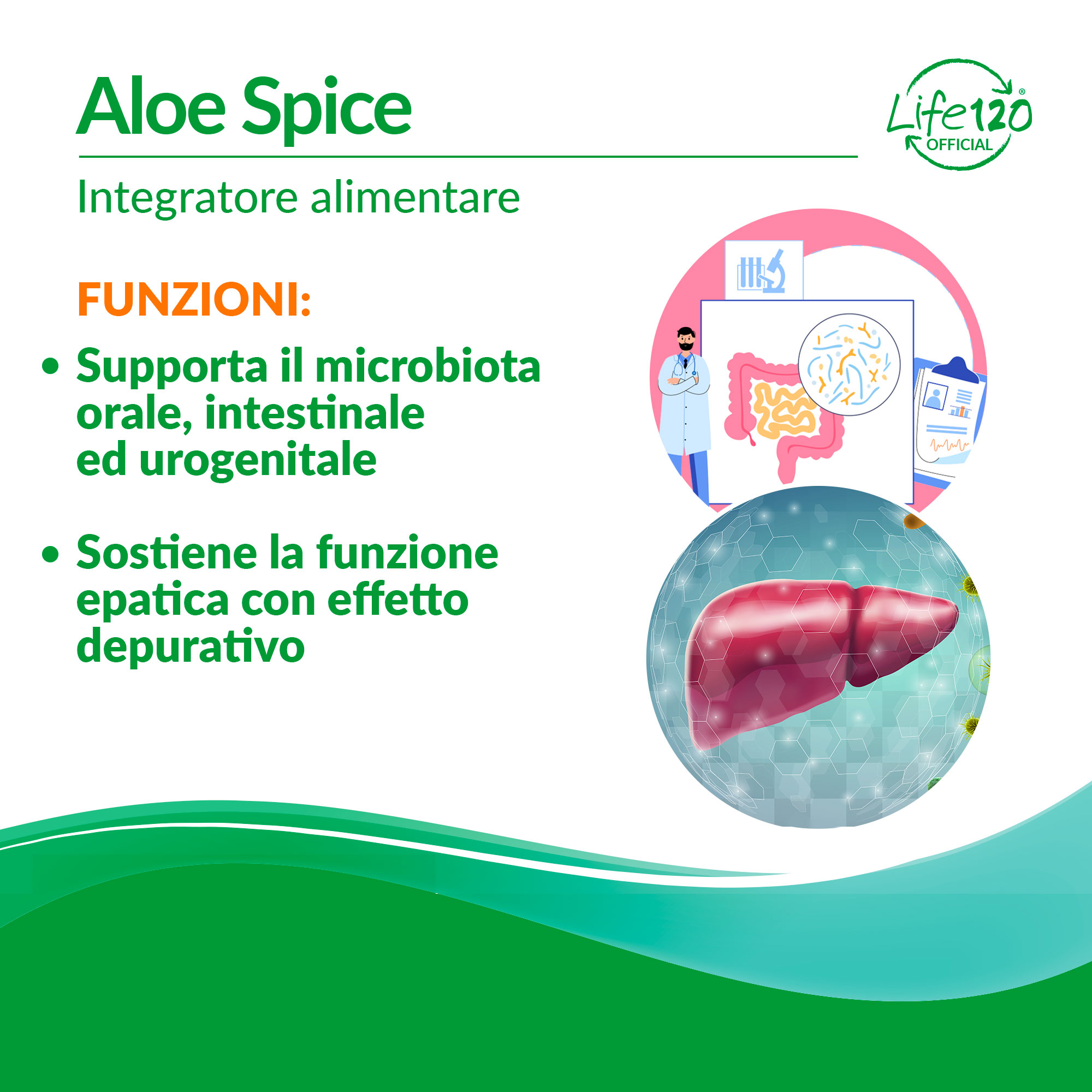 Aloe Spice — vista 3